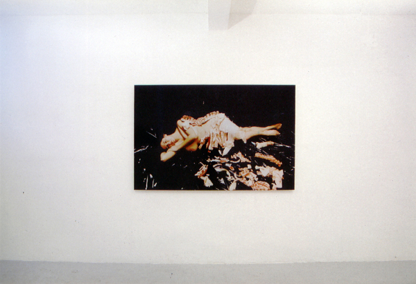 Photograph on wall