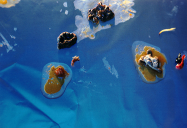 Photograph of organic shapes  on a blue-green background