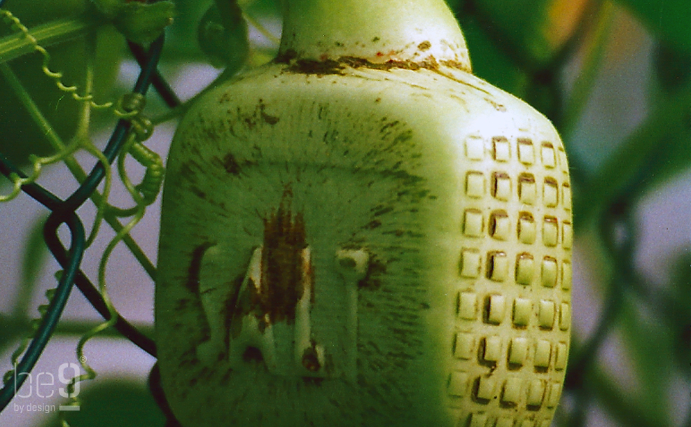 Calabash packaging