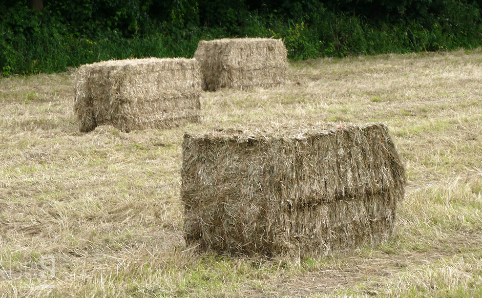 3 straw bales